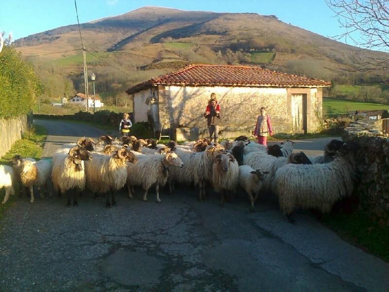 Apartamentos Rurales Kastonea Errazu Esterno foto